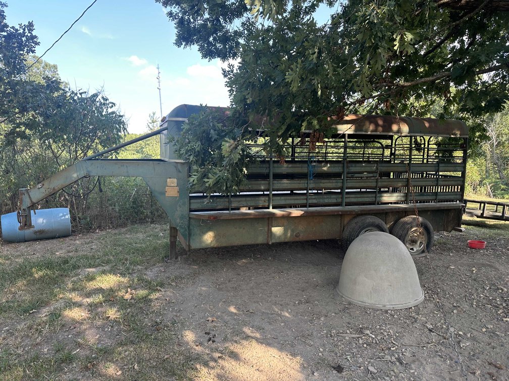 Image for Complete Farm Dispersal