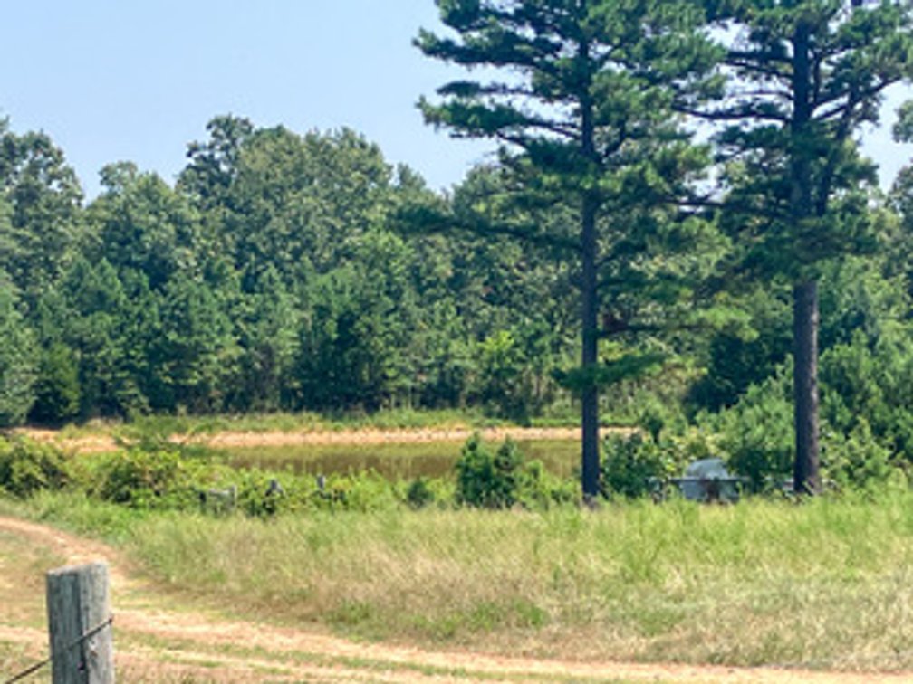 Image for Shannon County Real Estate Auction