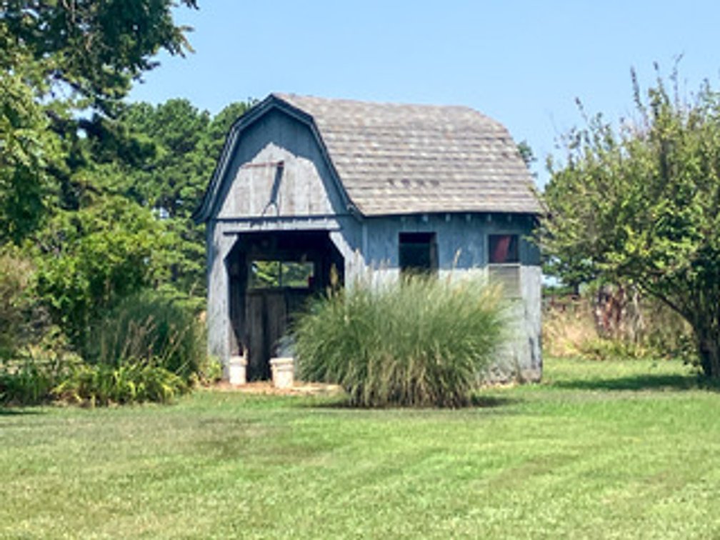 Image for Shannon County Real Estate Auction
