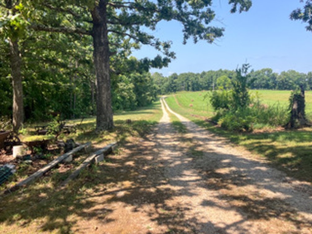 Image for Shannon County Real Estate Auction