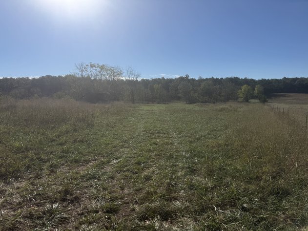 Image for Oregon County Land Auction