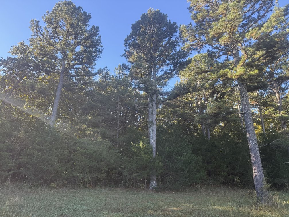 Image for Oregon County Land Auction