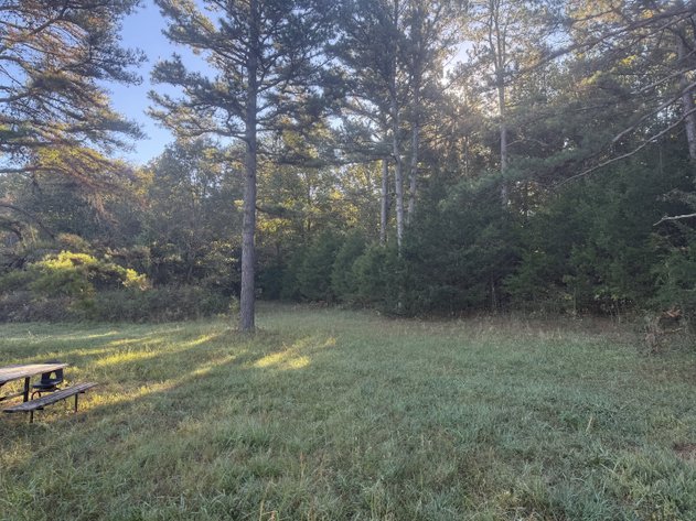 Image for Oregon County Land Auction