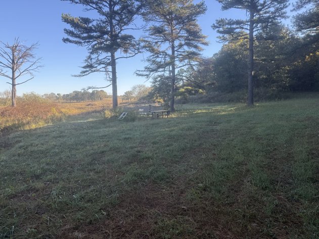 Image for Oregon County Land Auction
