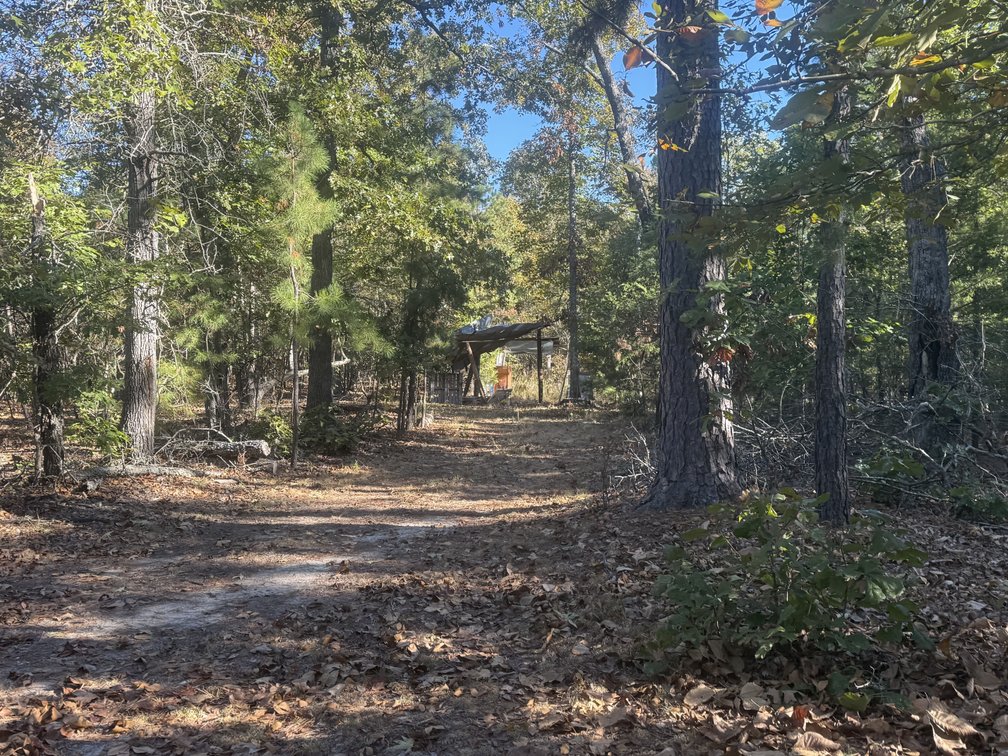 Image for Oregon County Land Auction