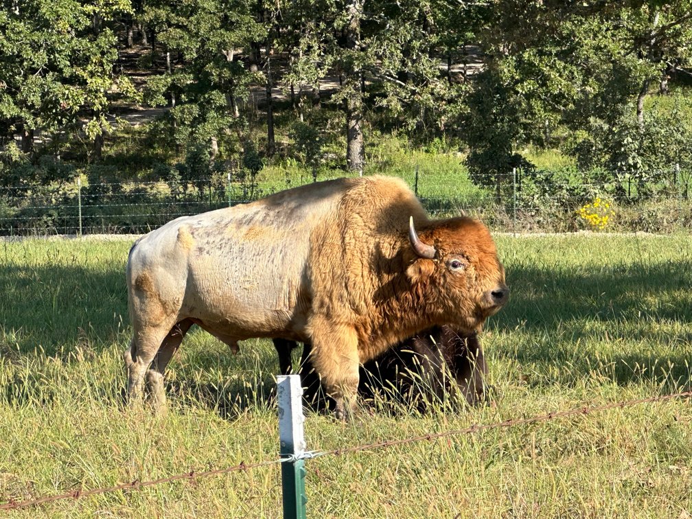 Image for Windhaven Public Farm Auction