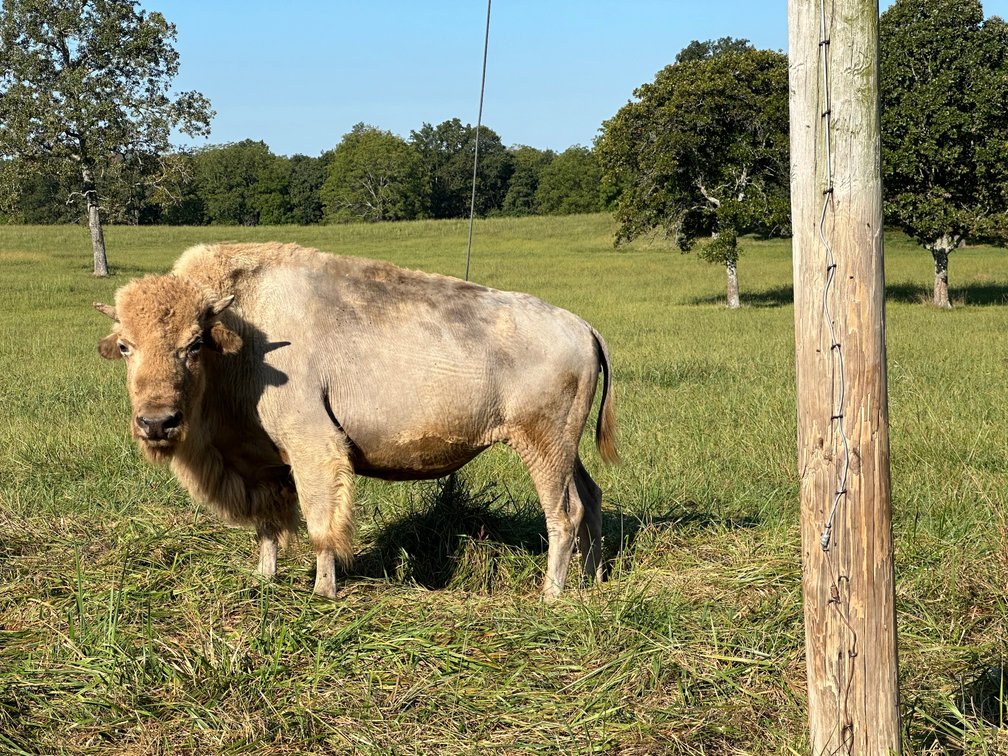 Image for Windhaven Public Farm Auction