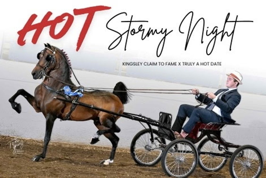 HOT STORMY NIGHT (26855)