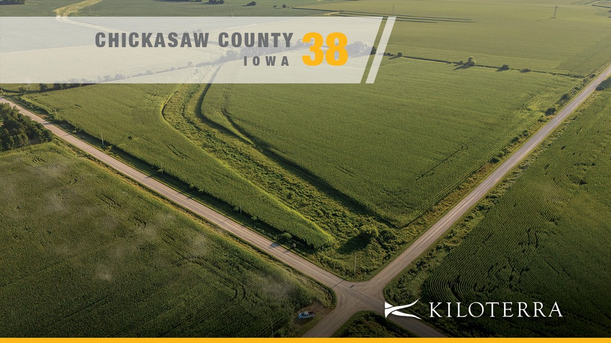 Tract 2: 38+/- acres