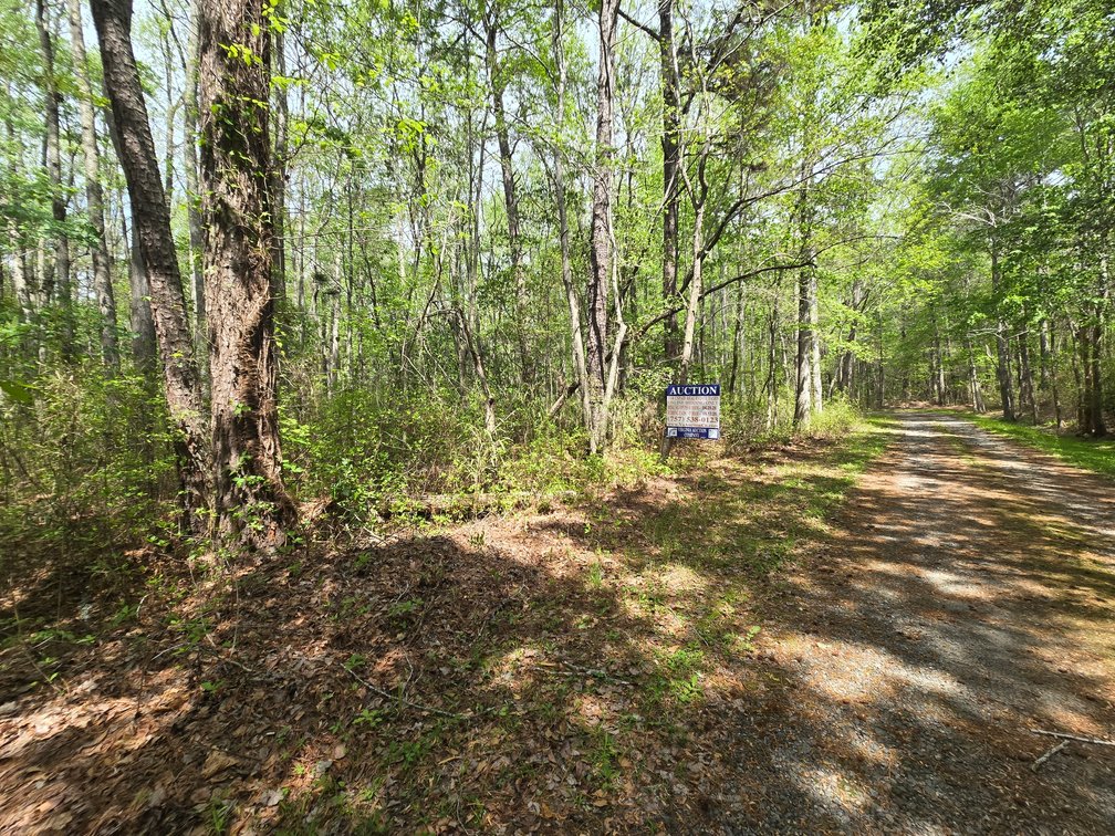 Lot 5 - Across from 1407 Darden St.