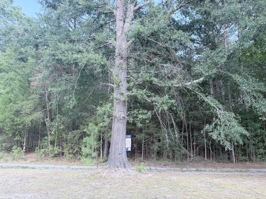 Lot 10 - Left of 5027 Philpott Rd., South Boston