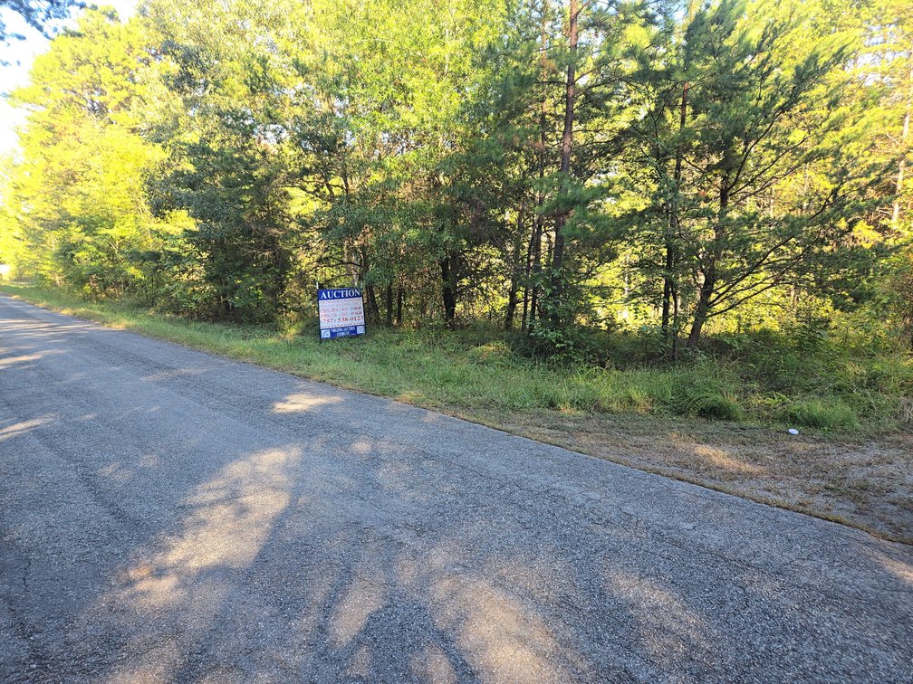 Lot 10 - Left of 1101 Lower Liberty Rd., Nathalie