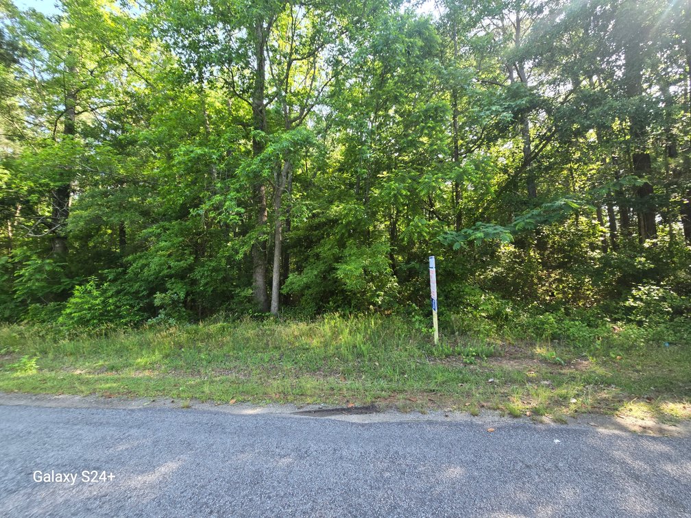 Image for June 5th, 2025 - June 12th, 2025 - Greensville County  TAX AUCTION