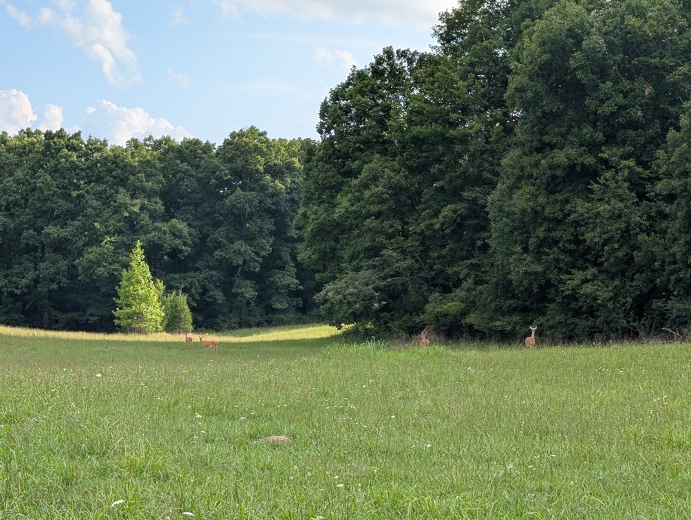 Image for Real Estate & Personal Property - 156 Lewis Drive