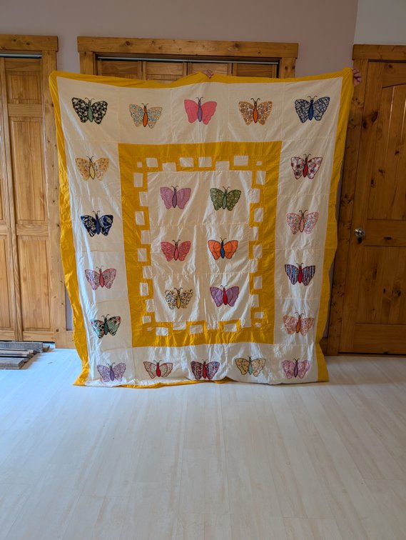 2 Quilt Tops