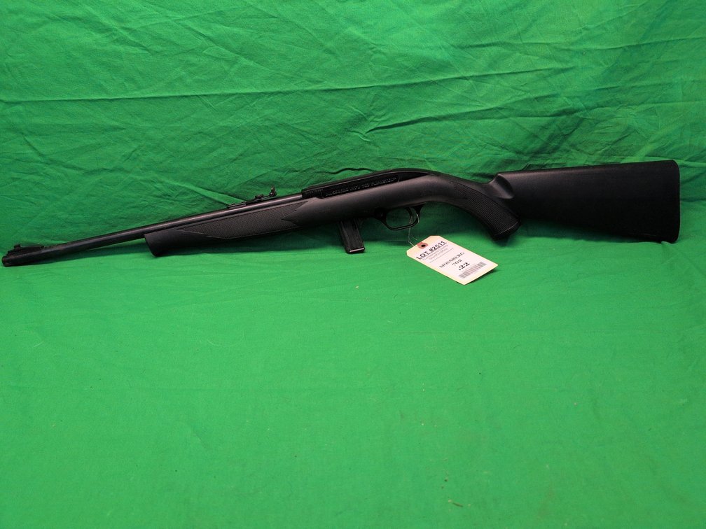 Mossberg 702 .22