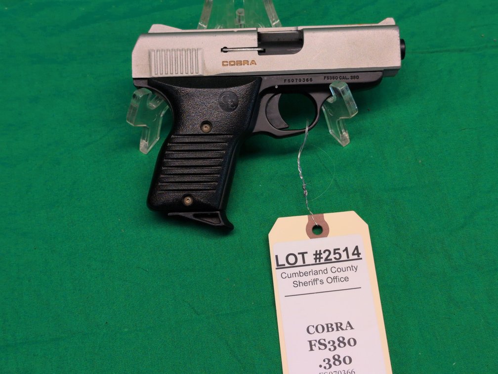 Cobra FS 380 .380