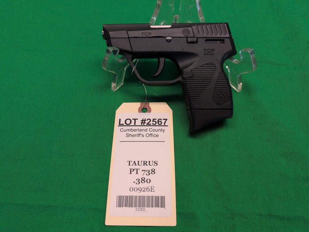 Taurus PT 738   .380