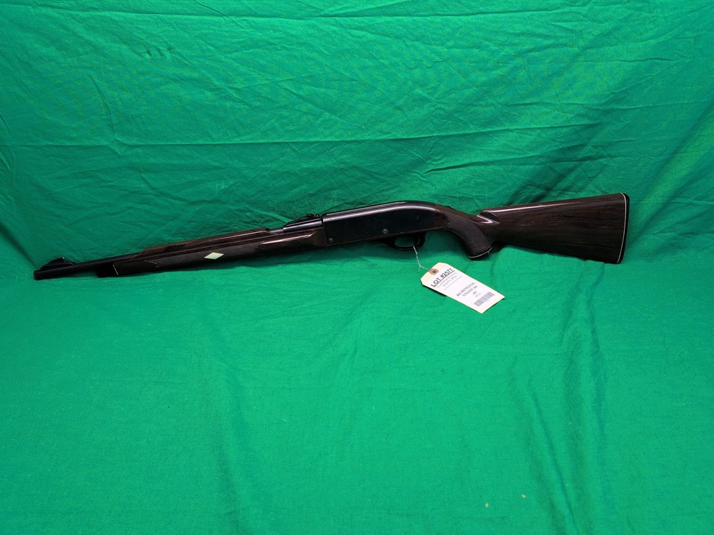 Remington Nylon 66   .22
