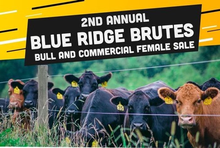 Blue Ridge Brutes