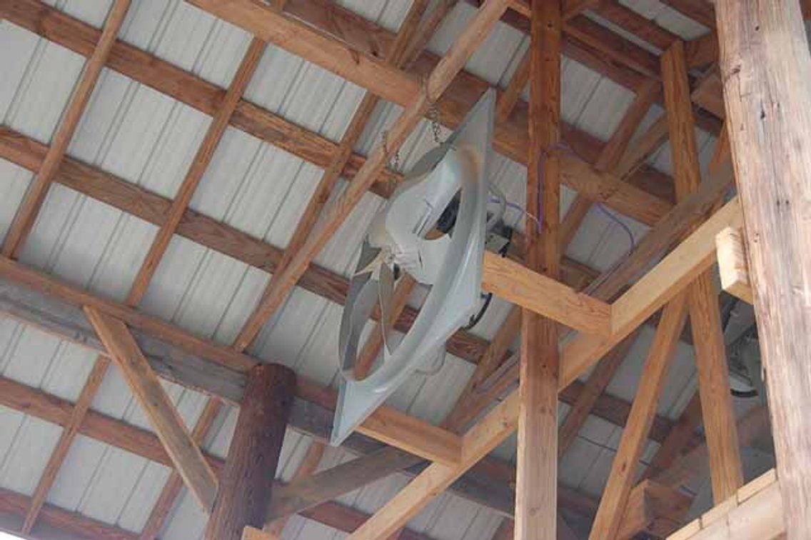 Electric fan