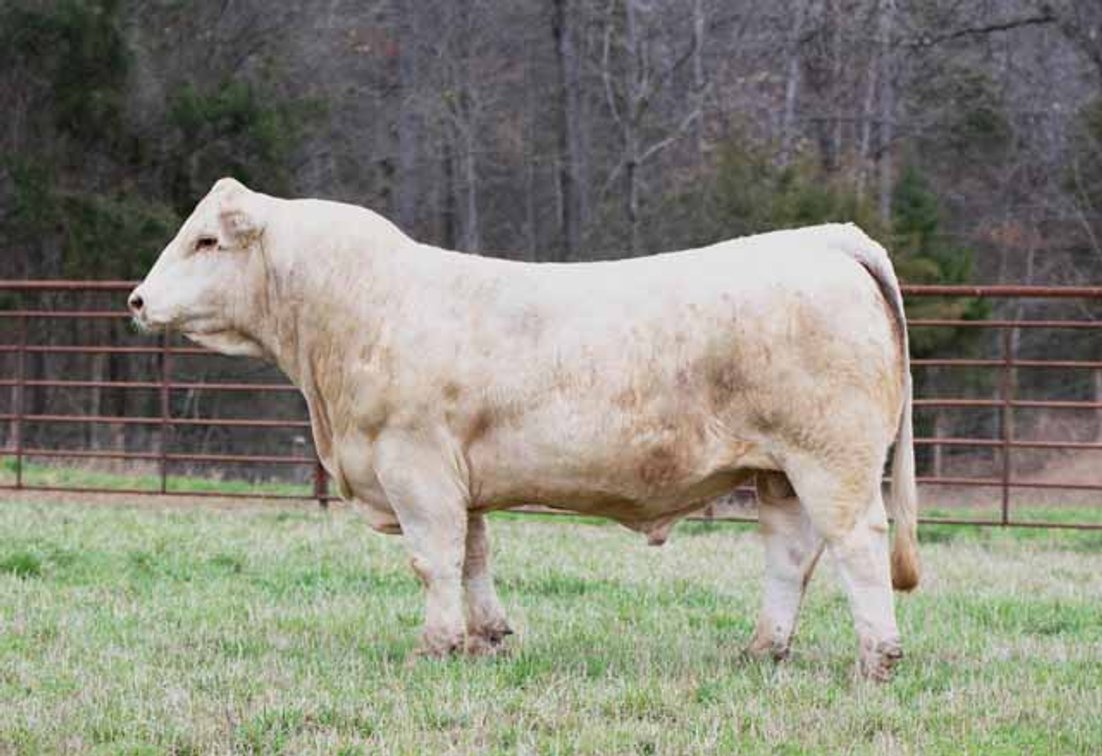 Image for Green Hills Cattle Co. & Hope Cattle Service