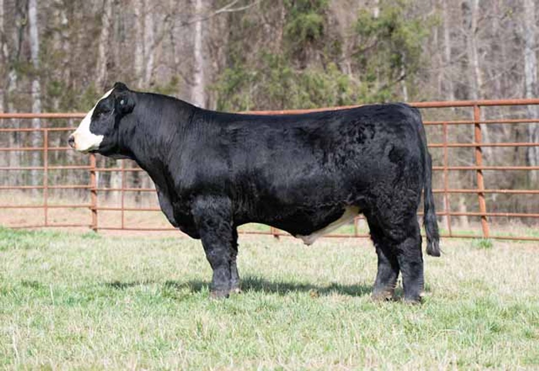 Image for Green Hills Cattle Co. & Hope Cattle Service