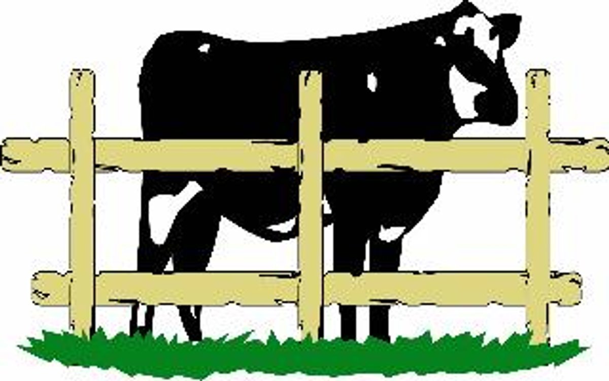 Image for CATTLE DISPERSAL