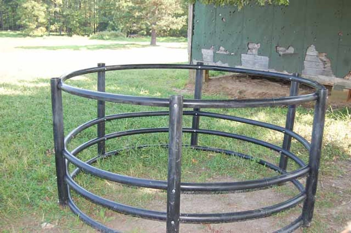Image for Cattle Auction September 27