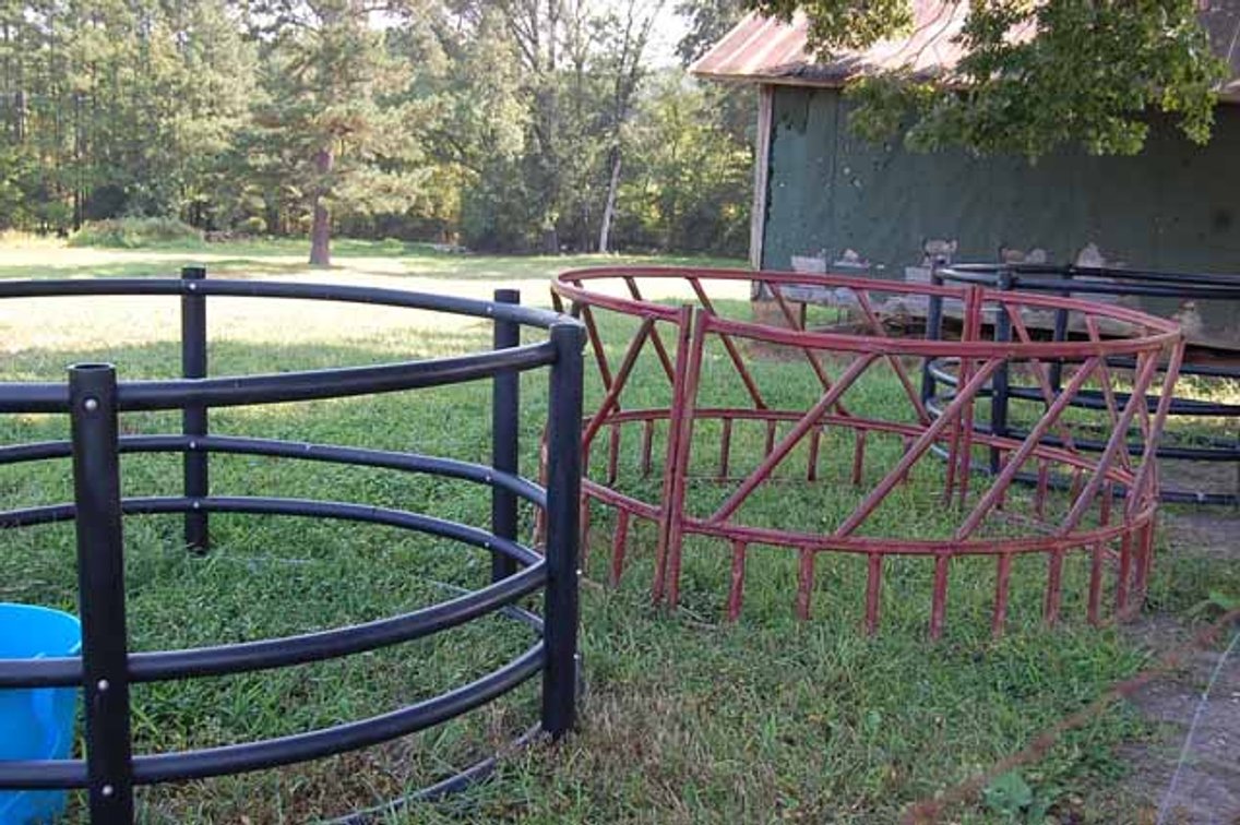 Image for Cattle Auction September 27
