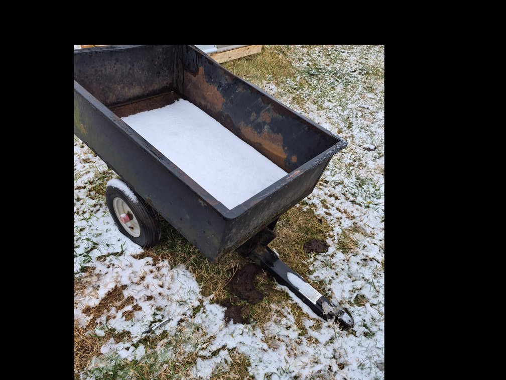 Lawn mower trailer 
