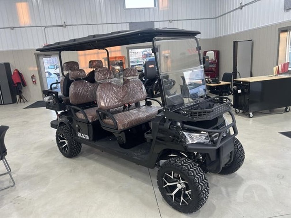 SDLGC100 golf cart (assy required)