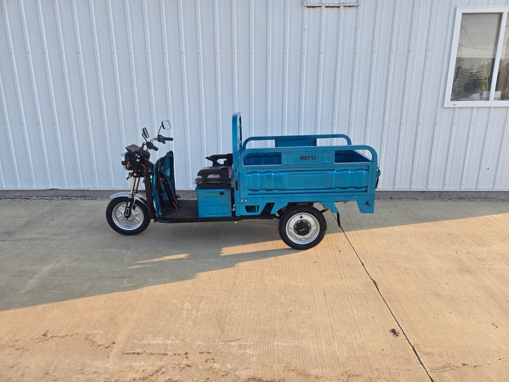 IRET13 mini golf cart