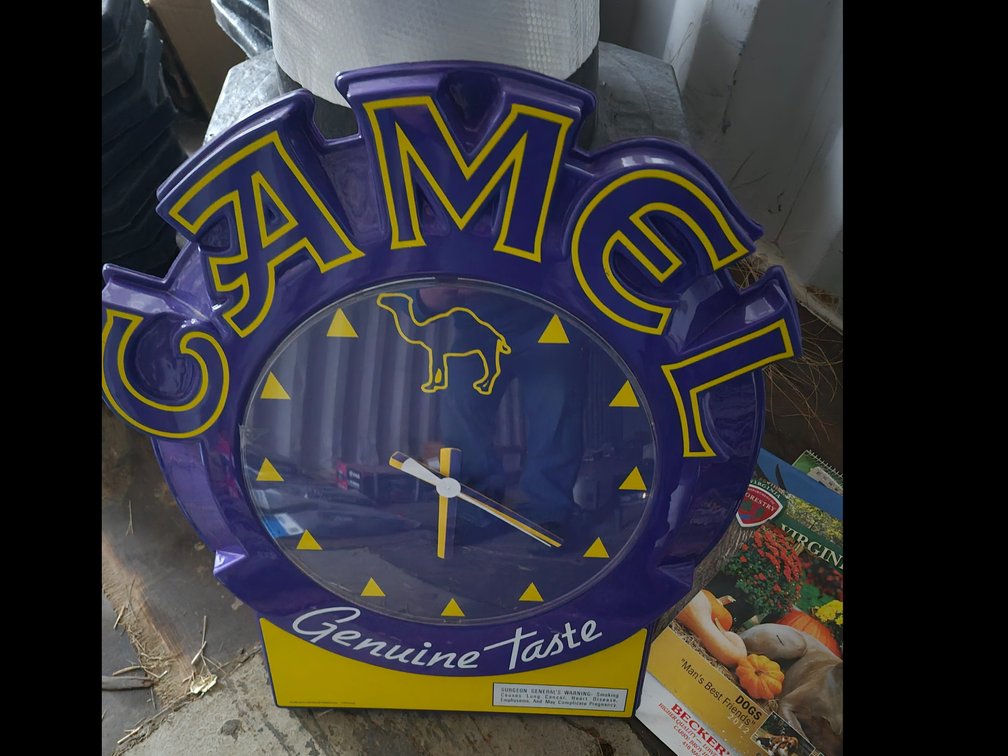 Camel clock
