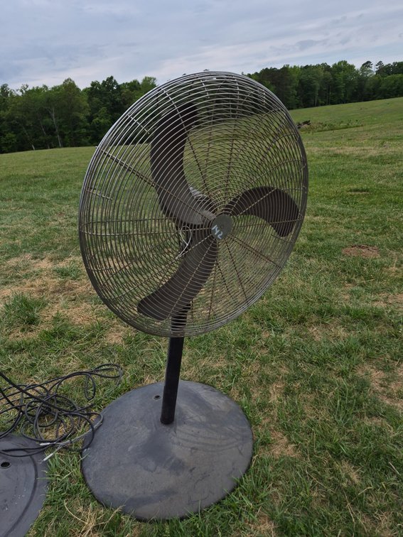 Fan