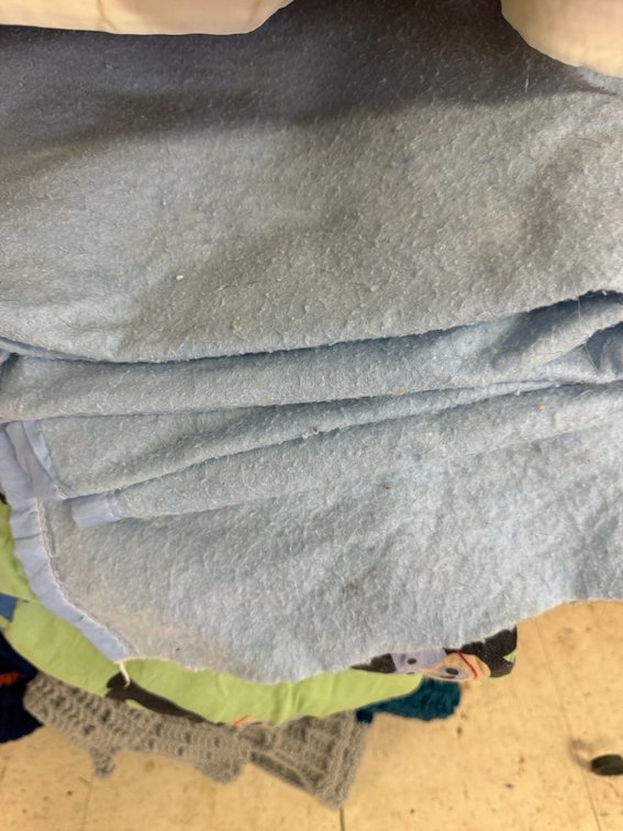 Satin-Trim Blanket, Safari Animal Print Blanket, and More