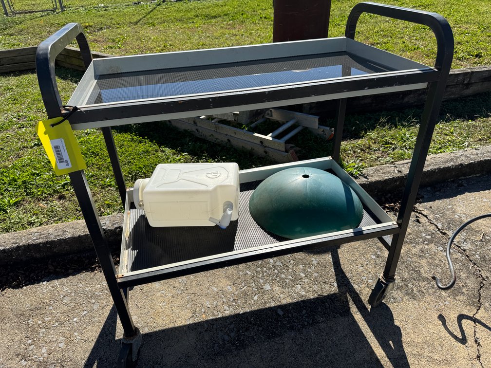 Two-Tier Rolling Metal Utility Cart with Jug and Dome