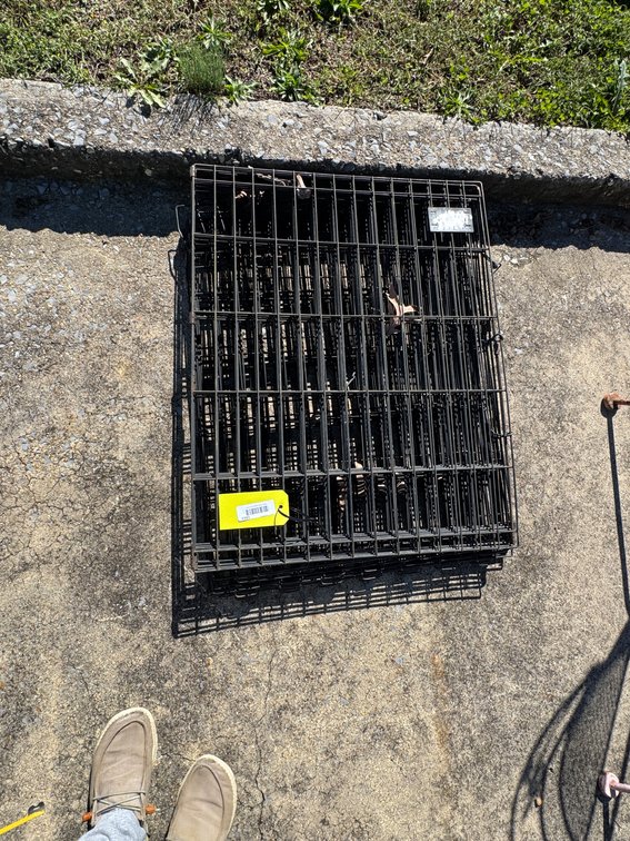 Collapsible Black-Coated Steel Wire Pet Crates