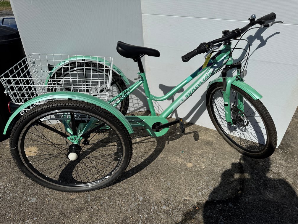 Mooncool Adult Tricycle with Rear Cargo Basket