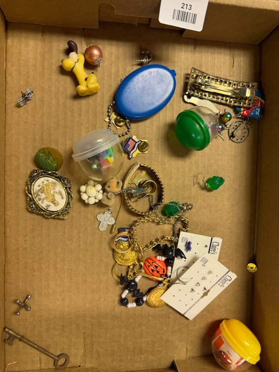 Costume Jewelry, Lapel Pins, Brooches, and Novelty Trinkets