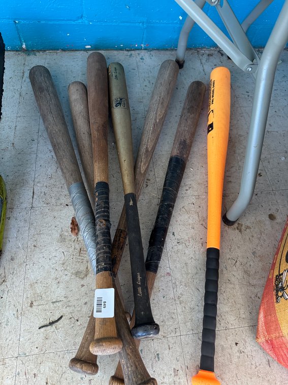 Wooden and Synthetic Baseball Bats