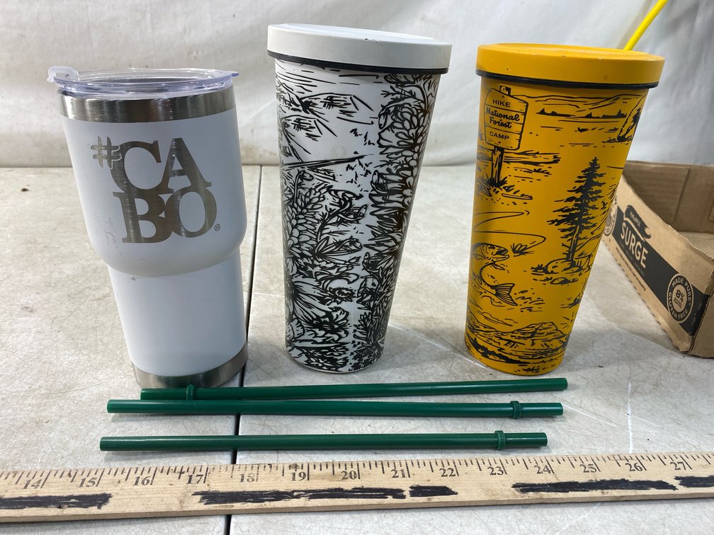 Travel Tumblers with Reusable Straws