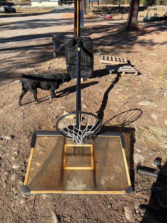 Portable Basketball Hoop with Acrylic Backboard and Base