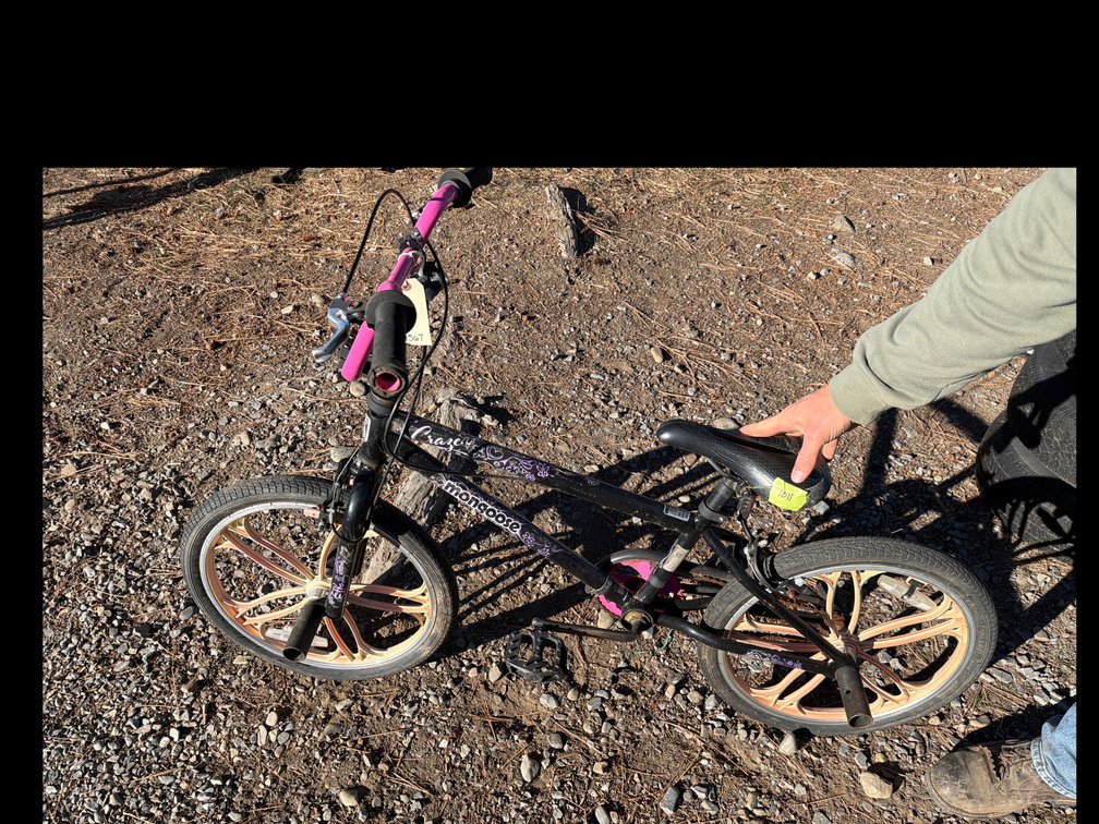 Mongoose Craze Youth BMX Bicycle