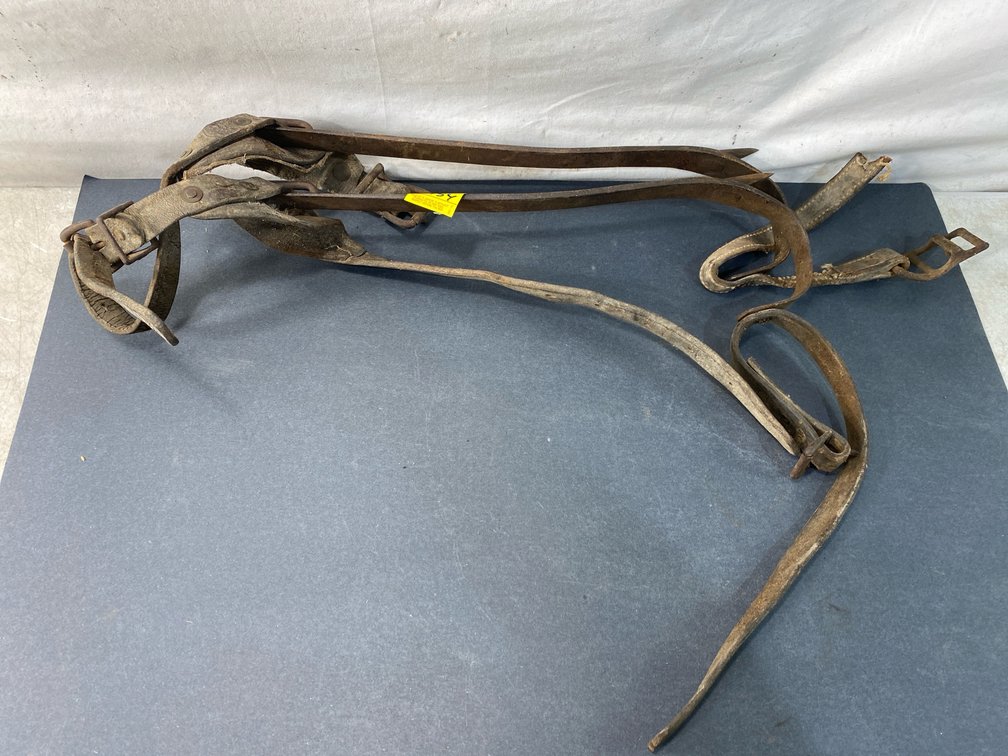 Leather Horse Harness Strap with Hardware