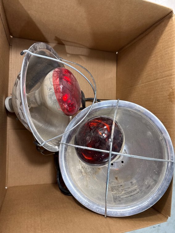 Brooder Heat Lamp and Clamp Work Light