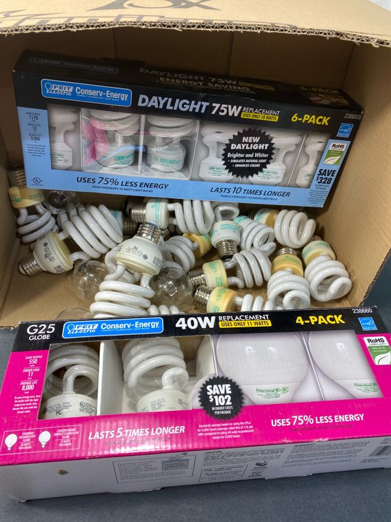 Compact Fluorescent Light Bulbs