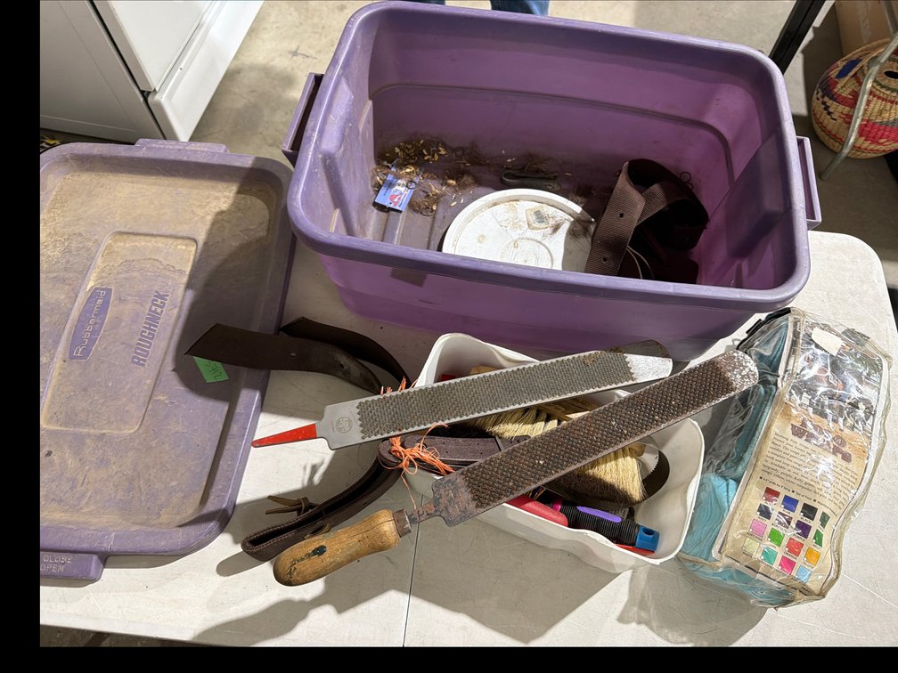 Horse Grooming and Hoof Care Equipment with Storage Tote