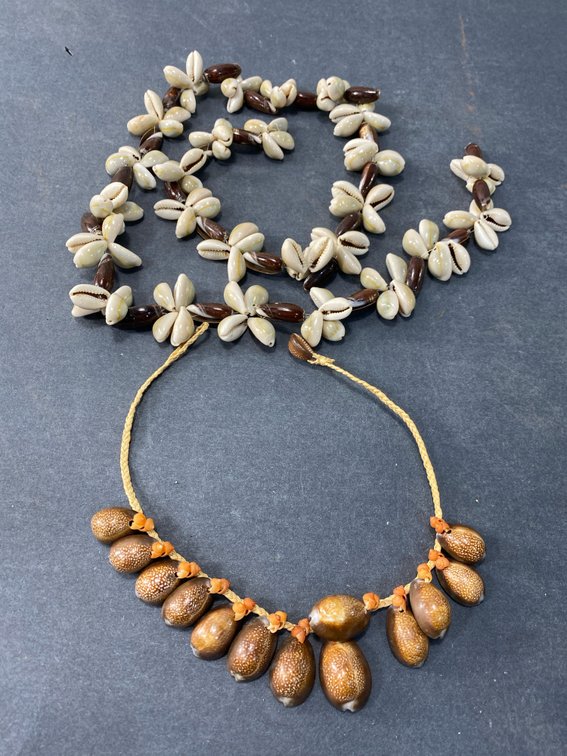 Cowrie Shell Necklace