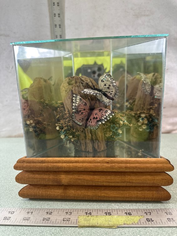 Butterfly Diorama Music Box Display Case